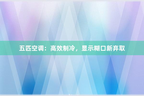 五匹空调：高效制冷，显示糊口新弃取